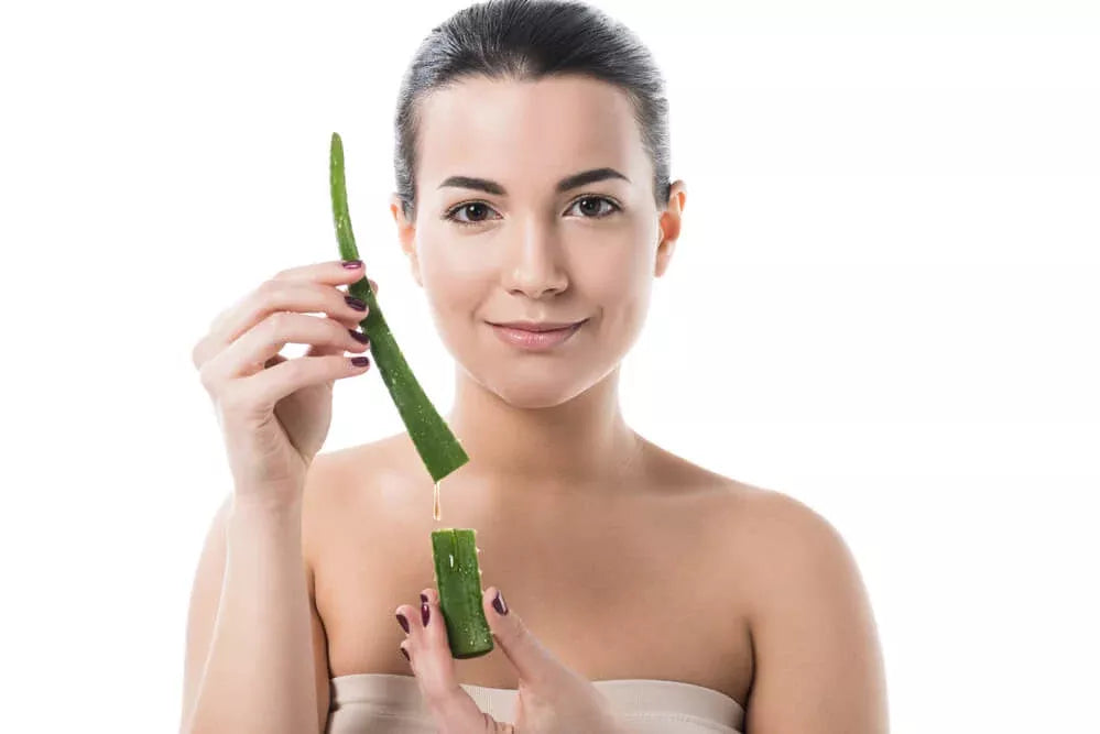 aloes