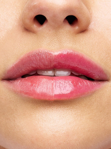 lq chameleon rich bitch usta