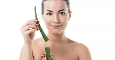 aloes