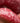 Wygładzający i nawilżający peeling cukrowy do ust - waniliowy - Sweet Vanilla Lip Scrub