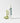 Przeciwzmarszczkowy krem anti-aging z bakuchiolem - Green Retinol Cream 50 ml